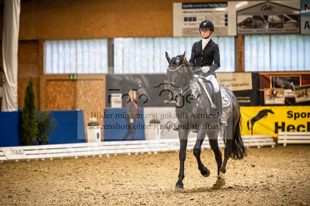 DOS_2067 | Entdecke hochwertige Reitturnierfotos von Foto Oger. Professionell, emotional und authentisch – jetzt Lieblingsmomente im Shop bestellen. - Realisiert mit Pictrs.com