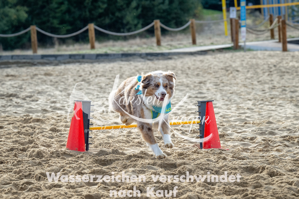 0929_ZZ92501 | kk-dogfotos