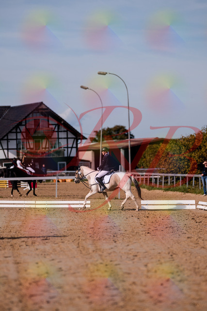 2026_10_03_Siefer-Hof_114915_Z81_88711013 | Professionelle Reitsport-, Turnier- und Eventfotografie von Robert Broda. Galerien mit ausgewählten und bearbeiteten Bildern direkt online ansehen und bestellen.