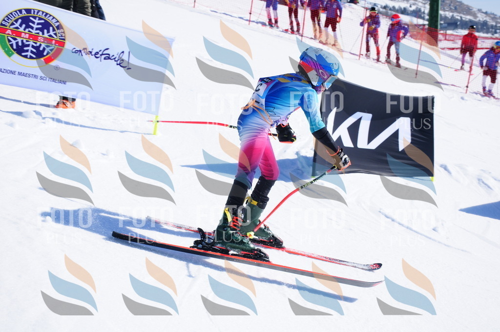 DSC_3598 | holidayphoto