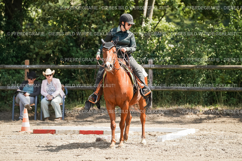 DSC06577 | Pferdegrafie