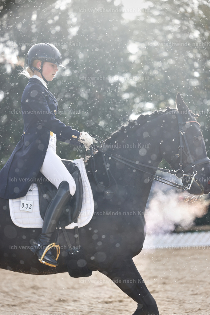 10-033-ST.GEORG SPECIAL -StoibPH-3136 | working equitationturnier fotograf videograf stoibphotography marixx film working equitation deutschland reitsport turnierfotografie eventfotografie equestrian events