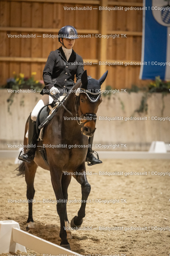 _D5A0914 | Emotionale Pferde- & People-Fotografie rund um Heidelberg, Leimen & Umgebung. Natürliche Fotos von Pferd, Mensch & Familie. Jetzt Termin sichern!