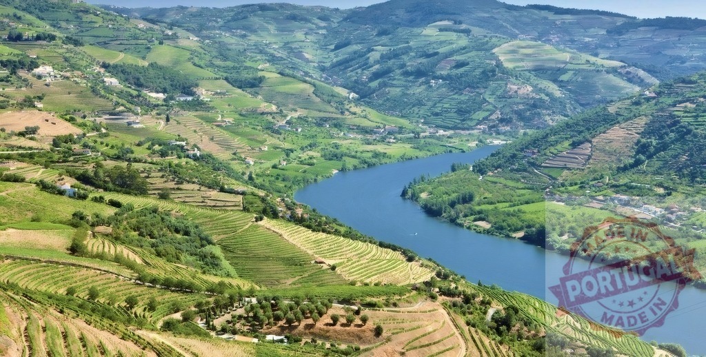 Douro Valley river winding through terraced vineyards | Douro River flowing through lush green terraced vineyards of the wine region - Realized with Pictrs.com