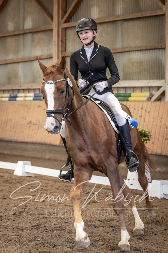 20251011-_3LI7362 | Tierfotografie Pferde, Hunde, Katzen, Haustiere.
Turnierfotografie Reitturniere, Reiten, Springreiten, Dressur in Hanau, dem Main-Kinzig-Kreis und dem Rhein-Main- Gebiet um Frankfurt
