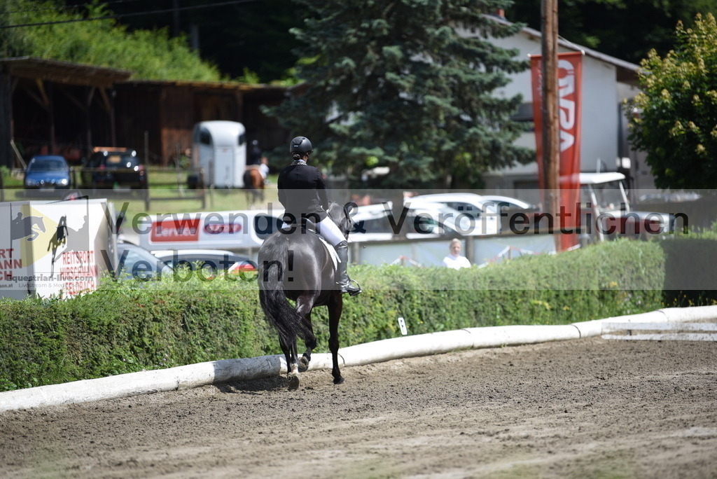 DSC_1177 | equestrian-live-com