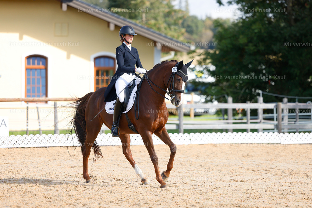 09_2-163-DRESSUR  S_  -StoibPH-5738 | working equitationturnier fotograf videograf stoibphotography marixx film working equitation deutschland reitsport turnierfotografie eventfotografie equestrian events