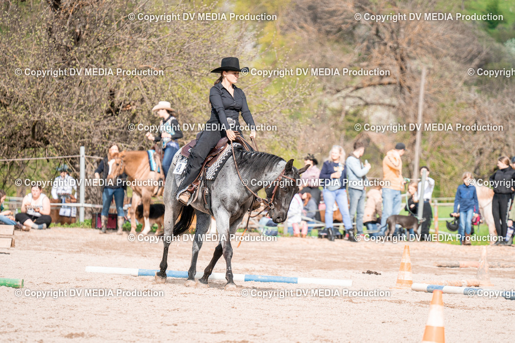 BAL02741 | dv-media-shop - Realisiert mit Pictrs.com