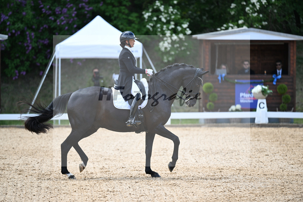 Holzmayr_Johnsons_26265355 | hf-fotografie - Realisiert mit Pictrs.com
