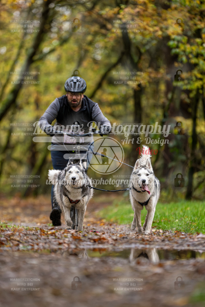 MompixPhotography_Bischwiller23_DS2-24 | mompixphotography