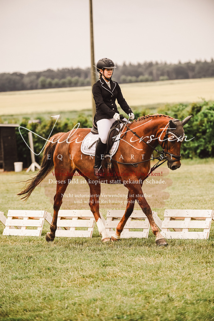 DSC_4850 | Pferde- und Turnierfotografie in Westsachsen. Pferdeportraits, Auftragszeichnungen und intuitive Kunst.