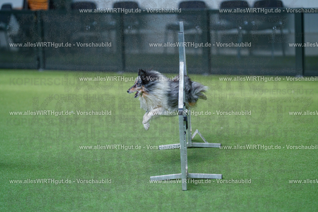 @allesWIRTHgut_Tierfotografie - www.allesWIRTHgut.de - 2604261458-7R504204 | Professionelle Tierfotografie in Mönchengladbach von Daniel Wirth (allesWIRTHgut). Liebevolle & natürliche Bilder von Hunden & Katzen für unvergessliche Erinnerungen.