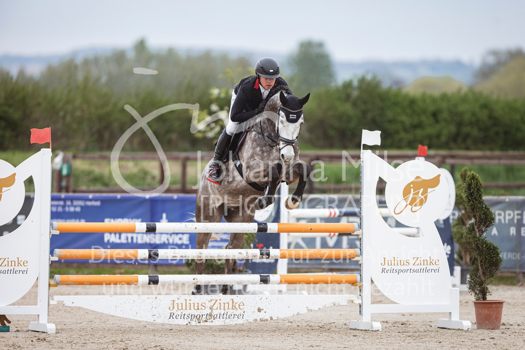 250417_Springpferde-L1-249 | Deine schönsten Turniermomente als professionelle Fotos! Entdecke hochwertige Pferdesport-Fotografie im Online-Shop. Jetzt Fotos finden & bestellen!