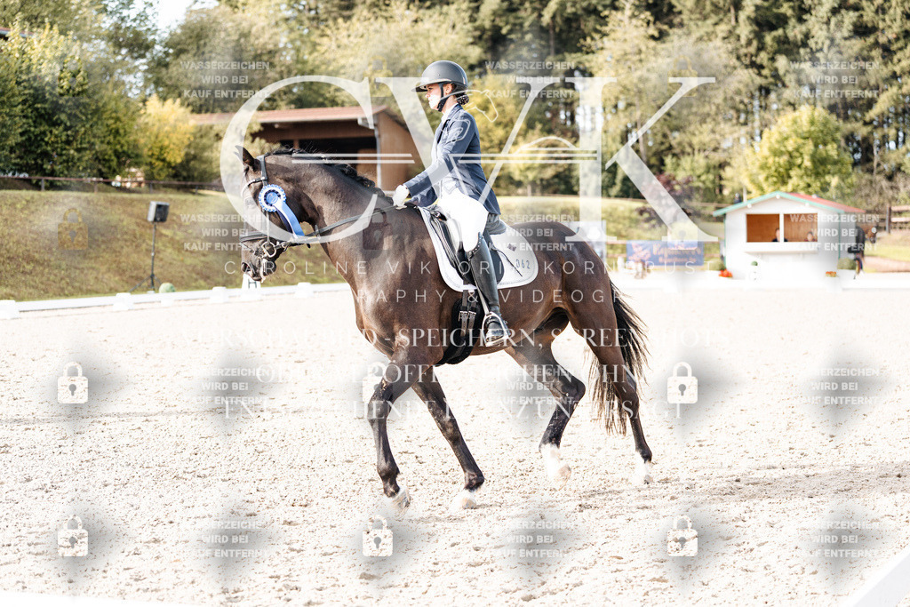 CK901402 | Turnierfotografie Pferdefotografie Trier Rheinland-Pfalz Pferdesport Reitsport Tierfotografie Sportfotografie Pferdevideo Pferdevideografie Equestrianvideography equestrianphotography  - Realisiert mit Pictrs.com