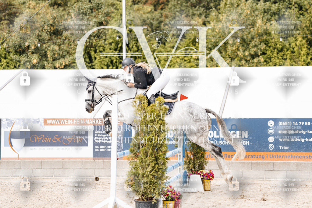 CK901858 | Turnierfotografie Pferdefotografie Trier Rheinland-Pfalz Pferdesport Reitsport Tierfotografie Sportfotografie Pferdevideo Pferdevideografie Equestrianvideography equestrianphotography  - Realisiert mit Pictrs.com