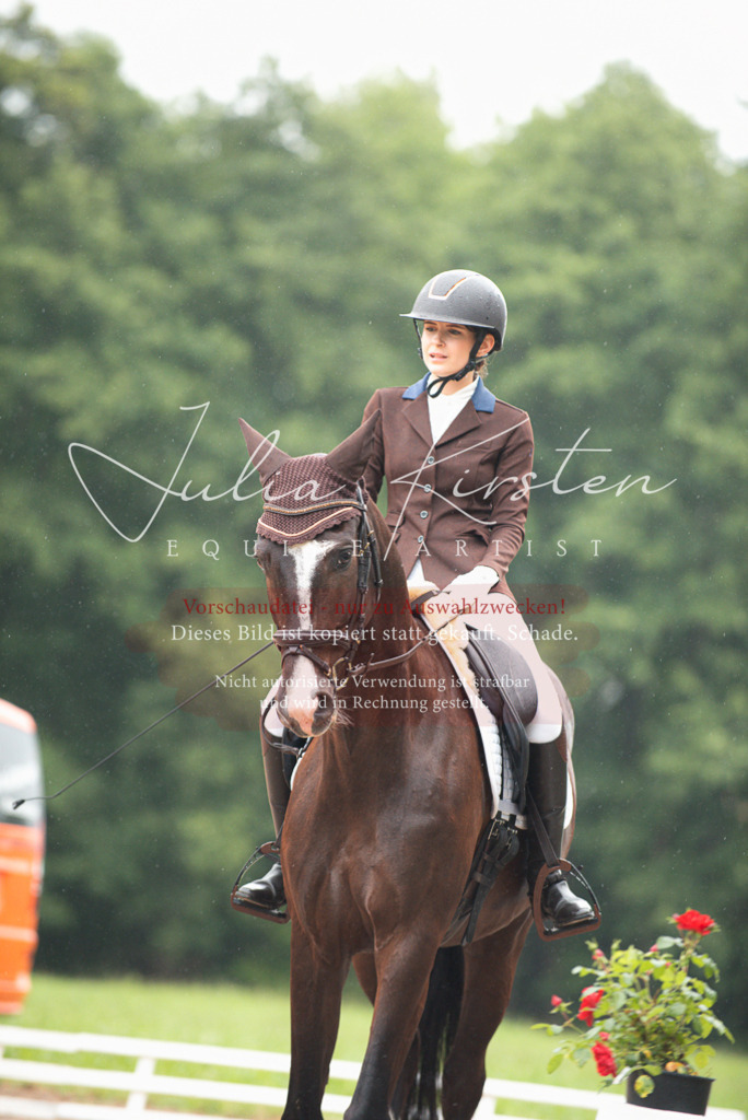 DSC_9730 | Pferde- und Turnierfotografie in Westsachsen. Pferdeportraits, Auftragszeichnungen und intuitive Kunst.