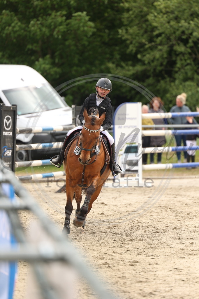 994A8901 | sabrinanicolaifotografie - Realisiert mit Pictrs.com