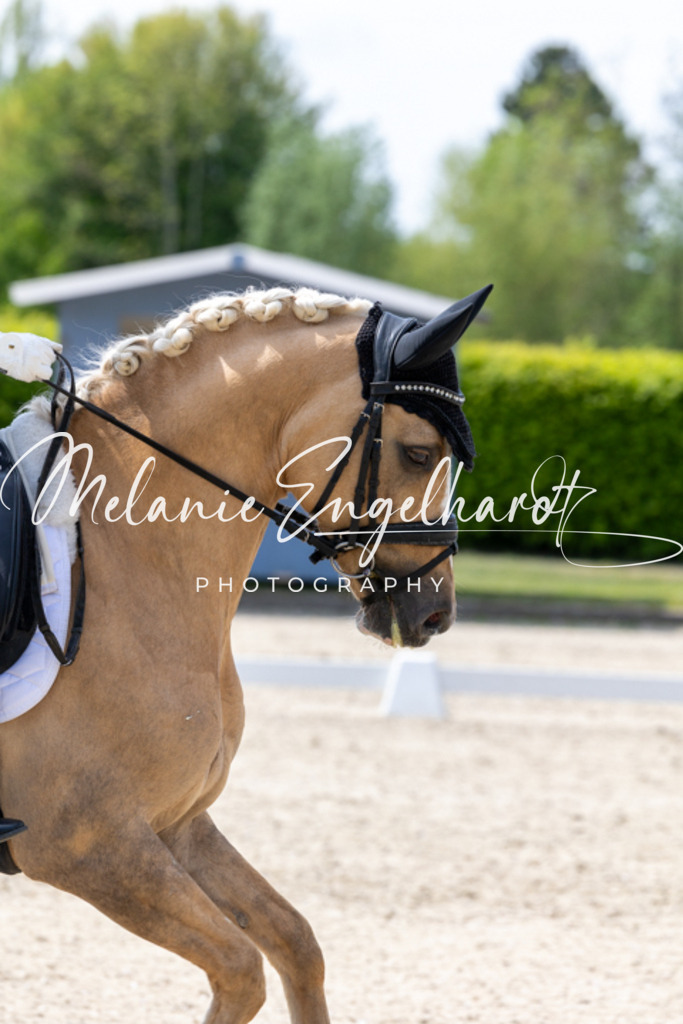 7I8A0577 | melanie-engelhardt-photography - Realisiert mit Pictrs.com
