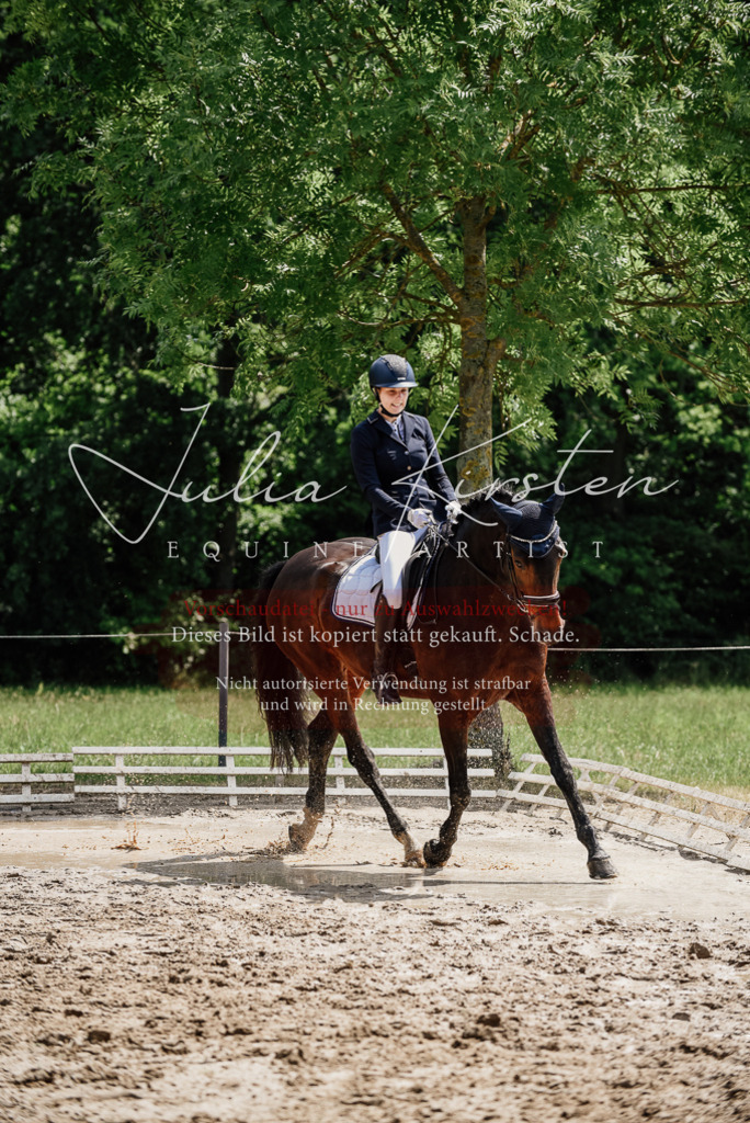 DSC_1436 | Pferde- und Turnierfotografie in Westsachsen. Pferdeportraits, Auftragszeichnungen und intuitive Kunst.