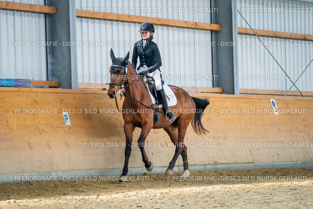 DSC03701 | Pferdegrafie