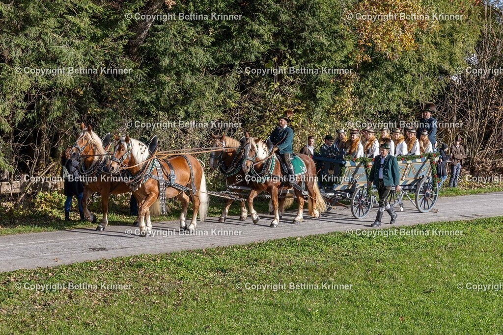 LBT24-294 | foto-bettina-krinner - Realisiert mit Pictrs.com