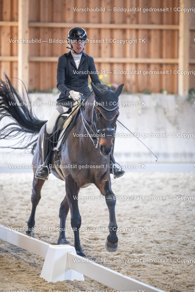 _D5A5009 | Emotionale Pferde- & People-Fotografie rund um Heidelberg, Leimen & Umgebung. Natürliche Fotos von Pferd, Mensch & Familie. Jetzt Termin sichern!