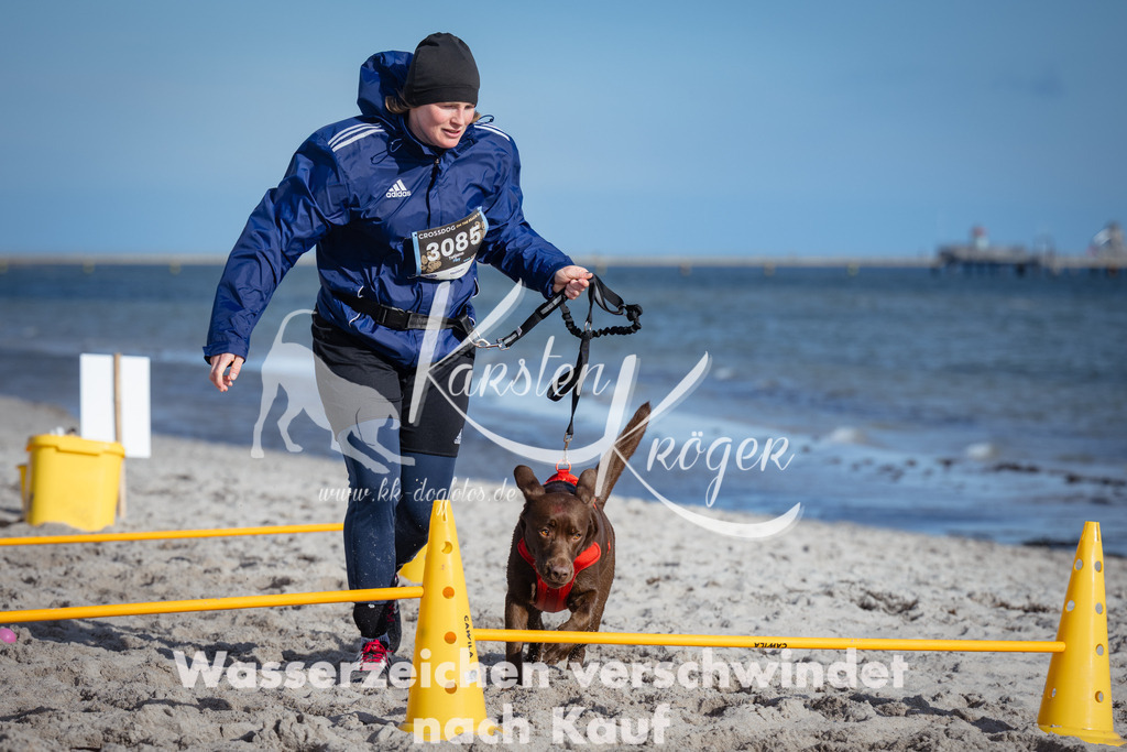 1348_ZZ93710 | kk-dogfotos