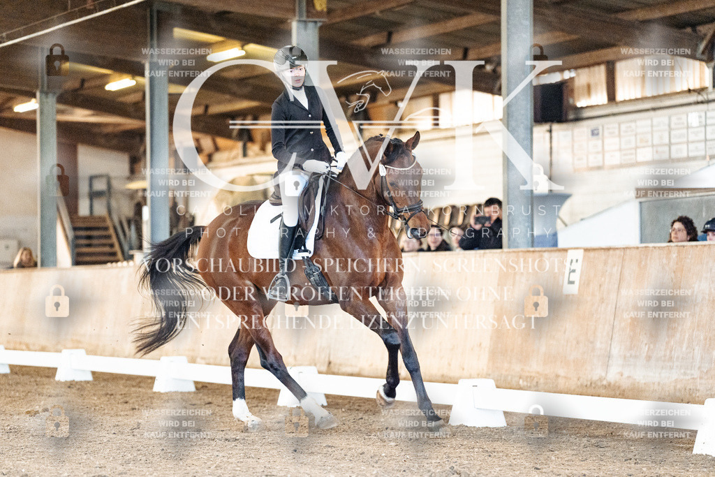 CK906504 | Turnierfotografie Pferdefotografie Trier Rheinland-Pfalz Pferdesport Reitsport Tierfotografie Sportfotografie Pferdevideo Pferdevideografie Equestrianvideography equestrianphotography  - Realisiert mit Pictrs.com