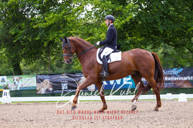 DKP40901 | Turnierfotos kaufen im Webshop von Daniel Kuhl Photography – entdecke professionelle Reitsportfotos aus Turnieren & Events. Hochwertige Turnierbilder online bestellen & sichern. Jetzt Fotos von Reitsportturnieren kaufen!