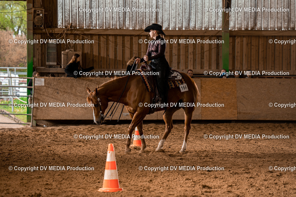 BAL01687 | dv-media-shop - Realisiert mit Pictrs.com