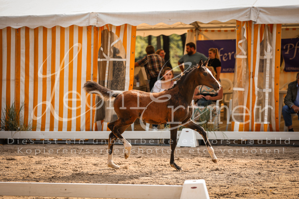 10.DoRP00100 | Leoni Ertmer Photography - Realisiert mit Pictrs.com