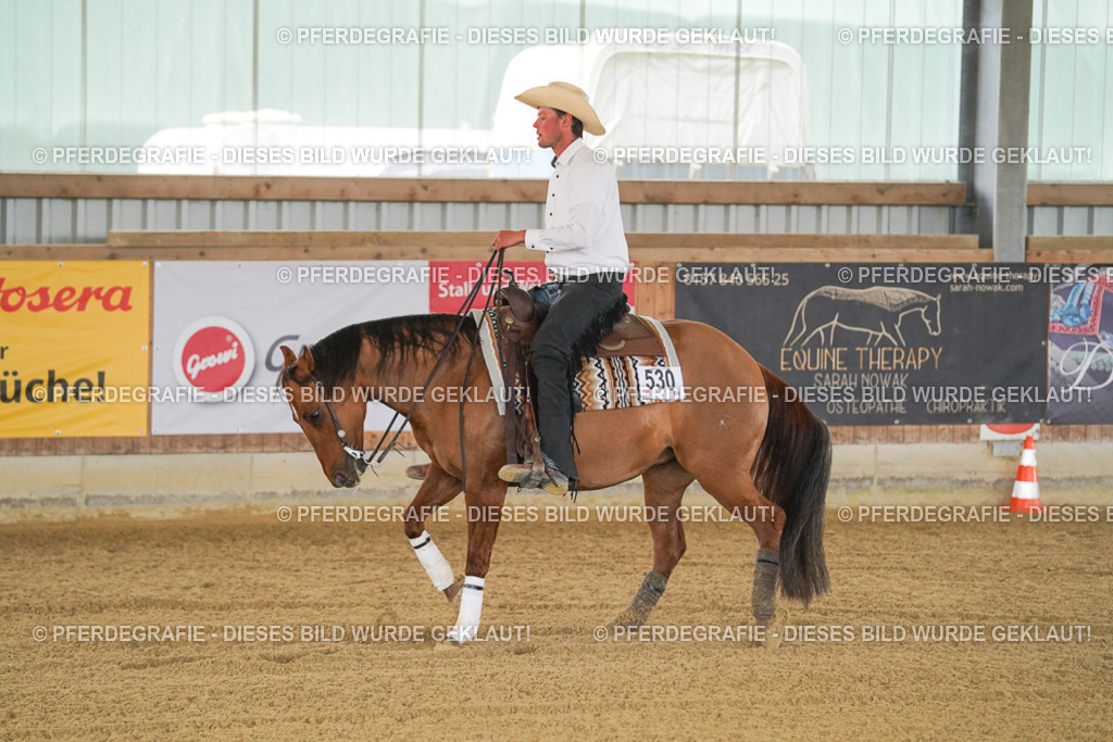 DSC06925 | Pferdegrafie