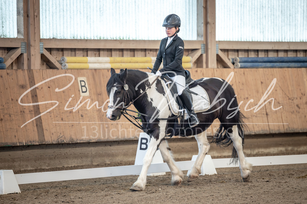 20251011-_3LI7531 | Tierfotografie Pferde, Hunde, Katzen, Haustiere.
Turnierfotografie Reitturniere, Reiten, Springreiten, Dressur in Hanau, dem Main-Kinzig-Kreis und dem Rhein-Main- Gebiet um Frankfurt