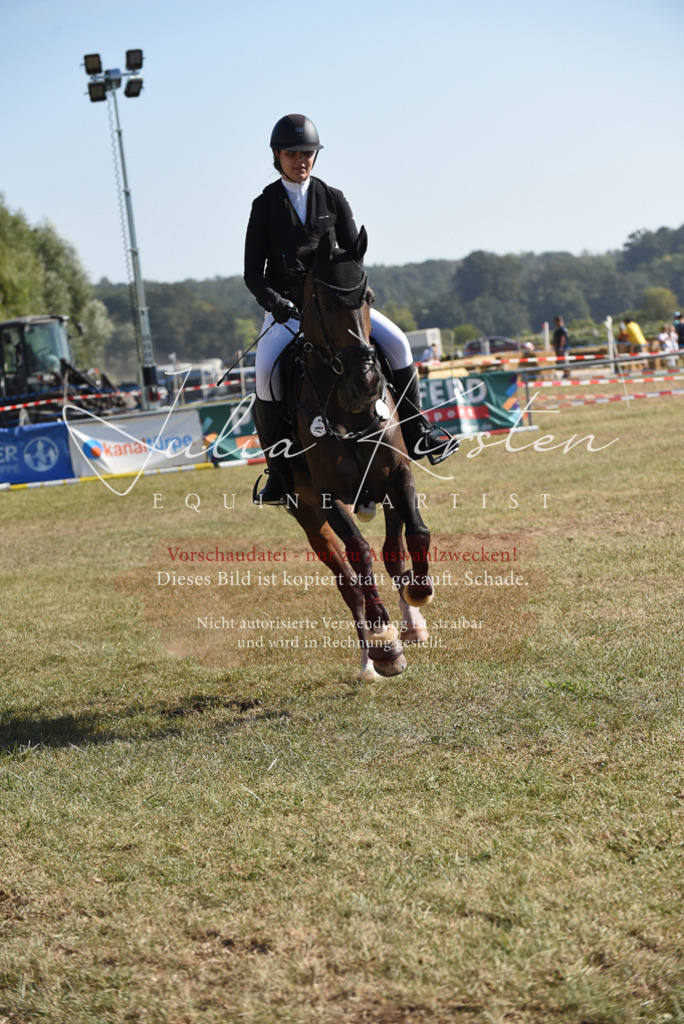 DSC_5927 | Pferde- und Turnierfotografie in Westsachsen. Pferdeportraits, Auftragszeichnungen und intuitive Kunst.