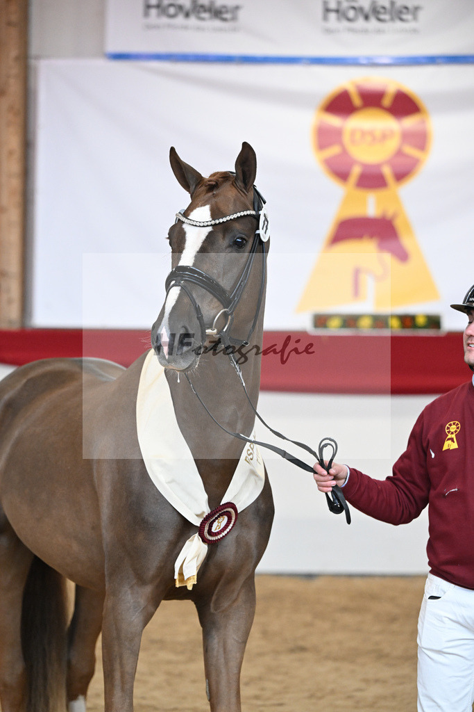 Kat.-Nr. 77 v. Sir Donnerhall I_Schafhof_2251911 | hf-fotografie - Realisiert mit Pictrs.com