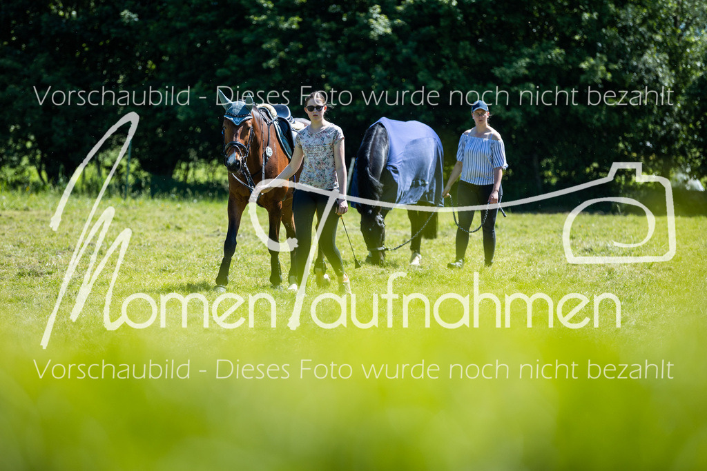 HH-Randmomente-021 | MomenTaufnahmen Pferdesportfotos