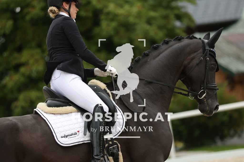 0P6A9155 | Willkommen bei Brunnmayr - Design & Fotografie – Ihrem Spezialisten für Reitturniere und Pferdeveranstaltungen in Oberösterreich, Salzburg und Bayern! Seit über 17 Jahren sind wir leidenschaftlich dabei.