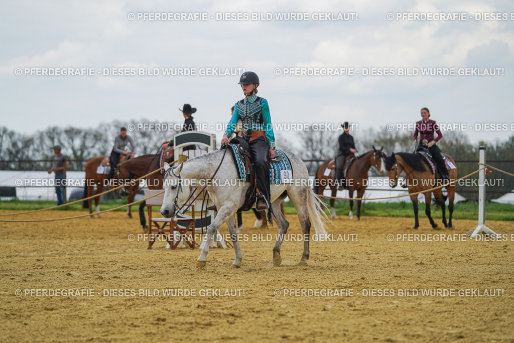 DSC06399 | Pferdegrafie