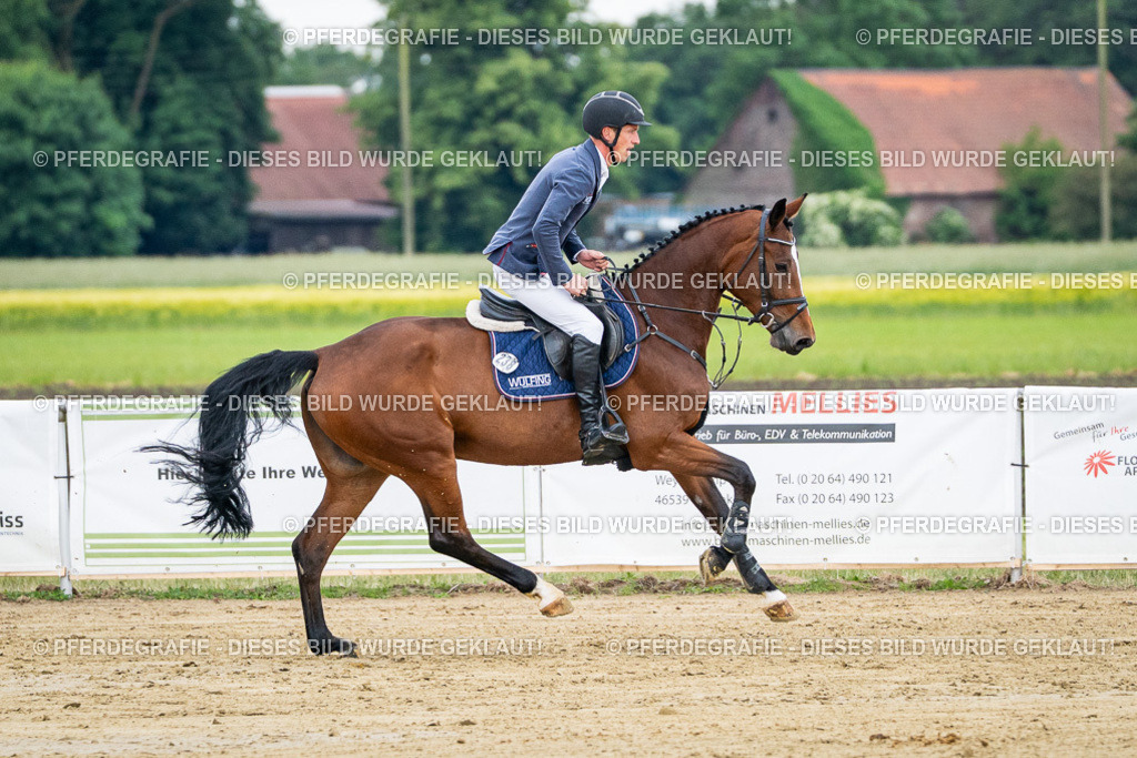 DSC05647 | Pferdegrafie