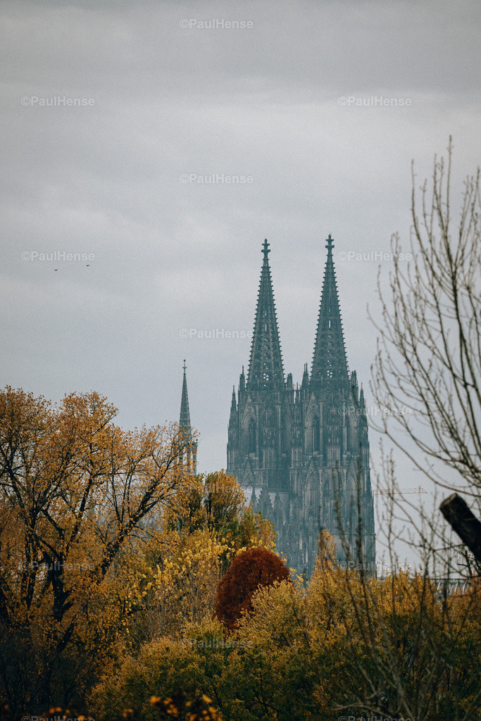 20221120_PaulHense_S0007_DSC04021-2 | paulhense - Realisiert mit Pictrs.com