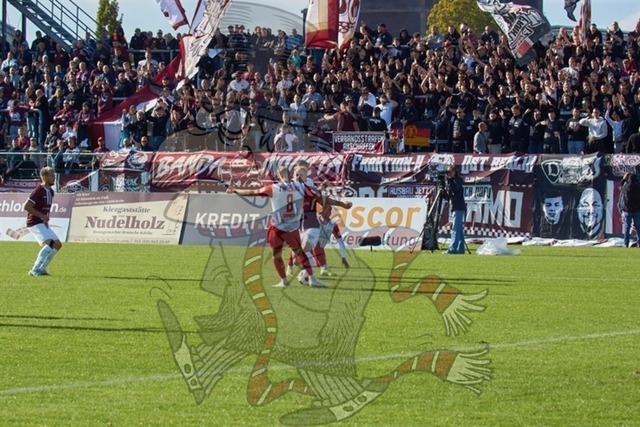 BFC Dynamo vs. FSV Zwickau 084 | mythos-online-redaktion