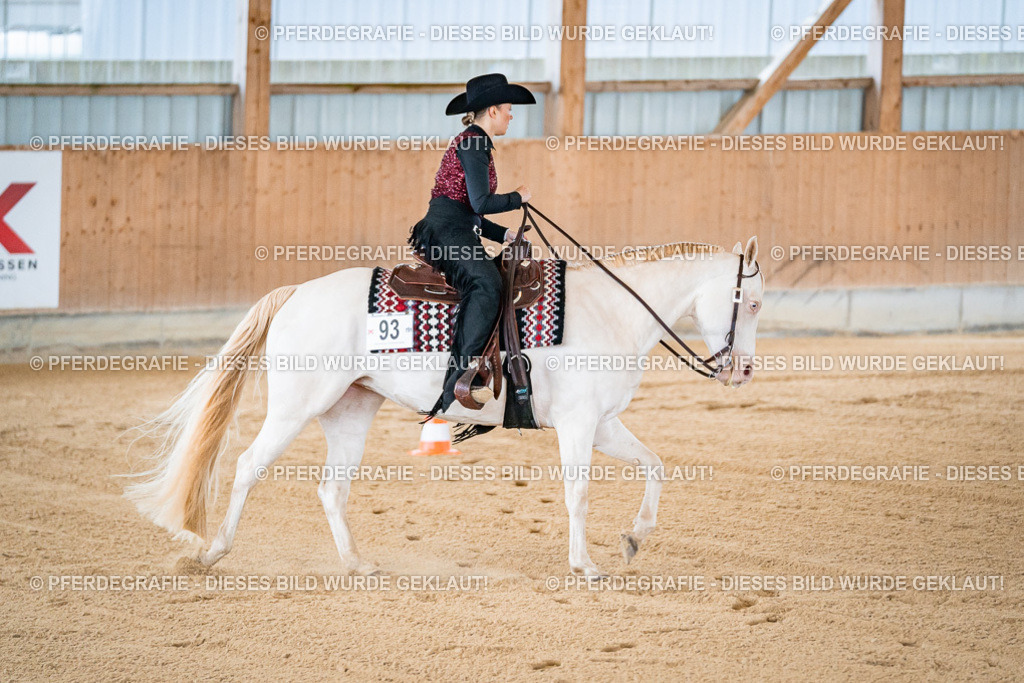 DSC01329 | Pferdegrafie