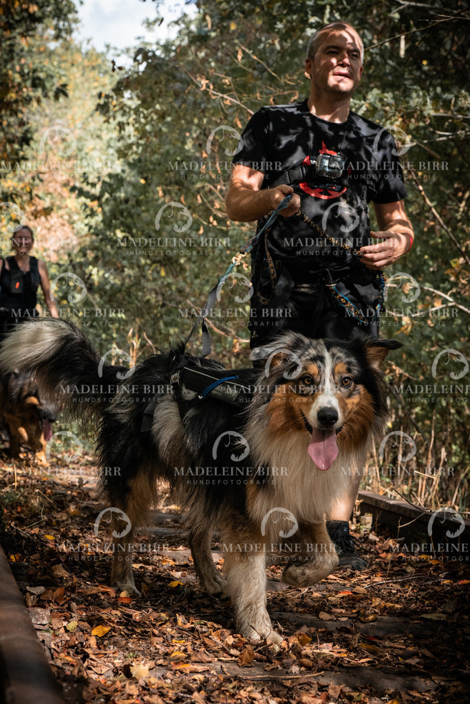 madeleinebirr.fotografie.2026.cc.hunsrueck.12-13Uhr.289 | hundefotografie-birr