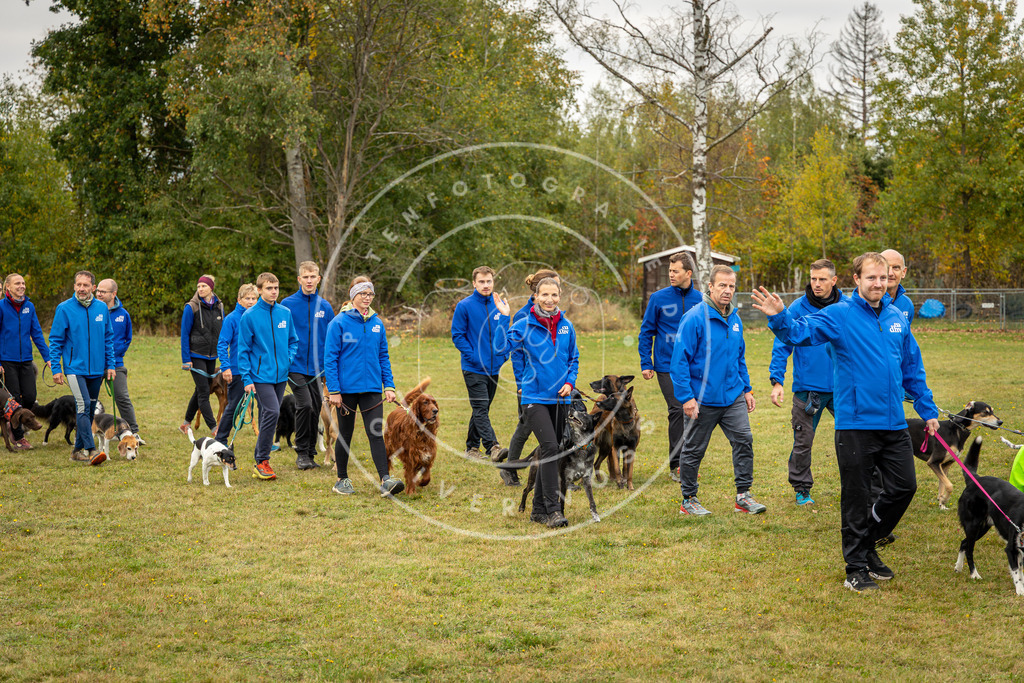 Pfotenfotografie_0L8A0309 | Hundefotografie, Tierfotograf, Pfotenfotografie, Fotoshooting Hund, Hunde Portrait, Hundesport, Hundeportraits, Heideshooting, Hunde, Sportfotograf, Hundefotograf, Turnierhundsport, THS,  - Realisiert mit Pictrs.com