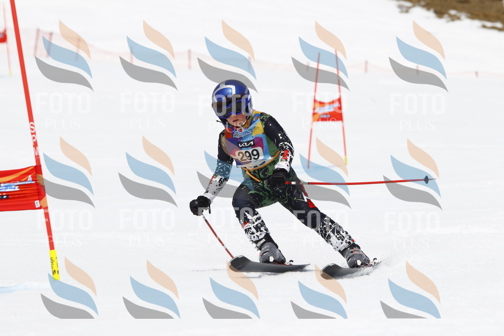 _U3G7454 | holidayphoto