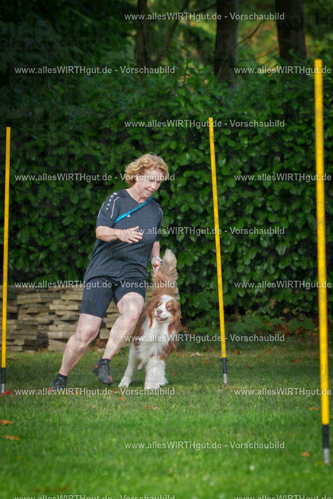 THS_Turnier_27-09-2026-allesWIRTHgut_Tierfotografie-7R507060 | Professionelle Tierfotografie in Mönchengladbach von Daniel Wirth (allesWIRTHgut). Liebevolle & natürliche Bilder von Hunden & Katzen für unvergessliche Erinnerungen.