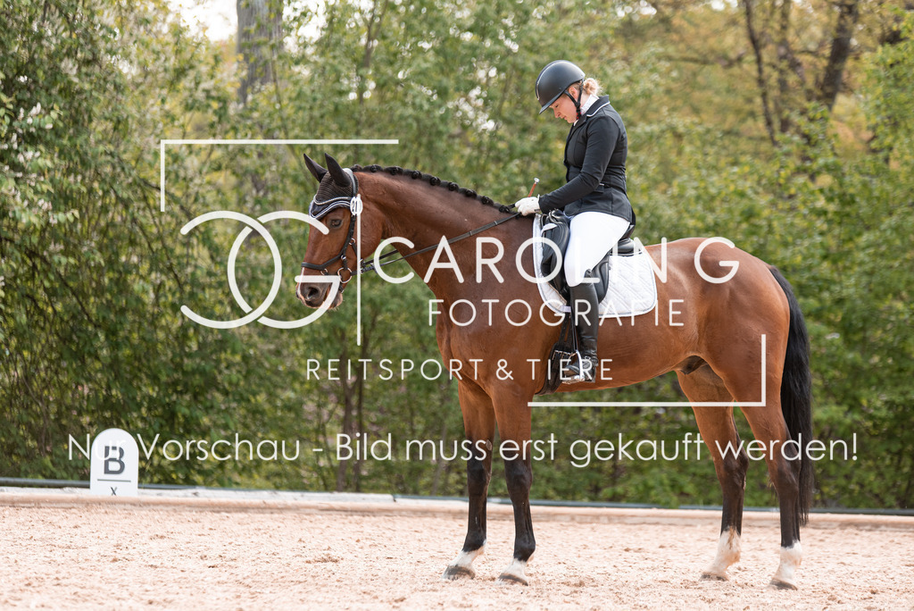 DSC_0220 | Turnierfotografin Carolin Gieschke, Turnierfotografie Carolin G Fotografie, Turnierfotos Kirchheim/Teck, Esslingen, Stuttgart, Bodenseekreis