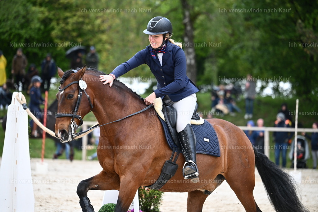 PI26_SP_Sara_Landvogt_226_5617.JPG | working equitationturnier fotograf videograf stoibphotography marixx film working equitation deutschland reitsport turnierfotografie eventfotografie equestrian events