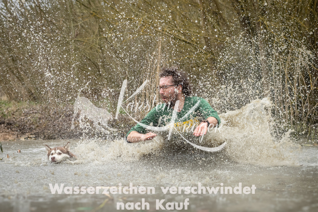 1254_ZZ92702 | kk-dogfotos
