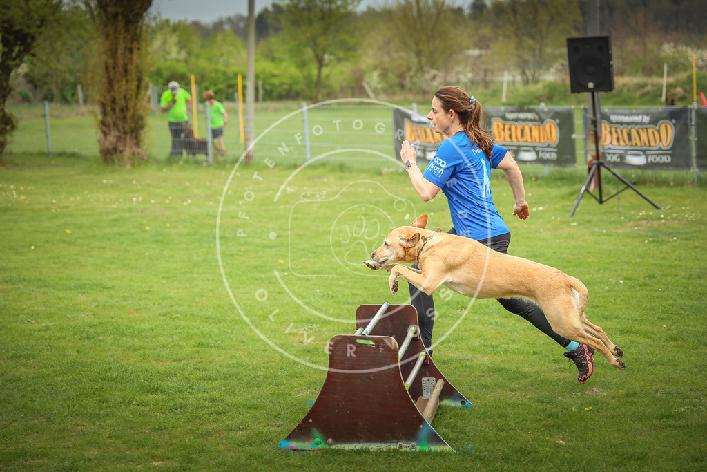 Pfotenfotografie_0L8A9849 | Hundefotografie, Tierfotograf, Pfotenfotografie, Fotoshooting Hund, Hunde Portrait, Hundesport, Hundeportraits, Heideshooting, Hunde, Sportfotograf, Hundefotograf, Turnierhundsport, THS,  - Realisiert mit Pictrs.com